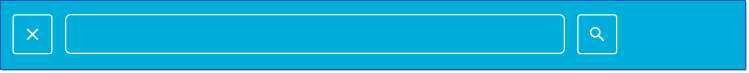 Quick Search Bar without AI Searching